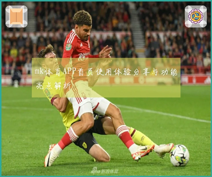 mk体育APP首页使用体验分享与功能亮点解析